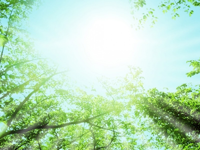 オンライン講座 オンライン 心が落ち着くマインドフルネス入門講座 By 田中 孝憲 ストアカ