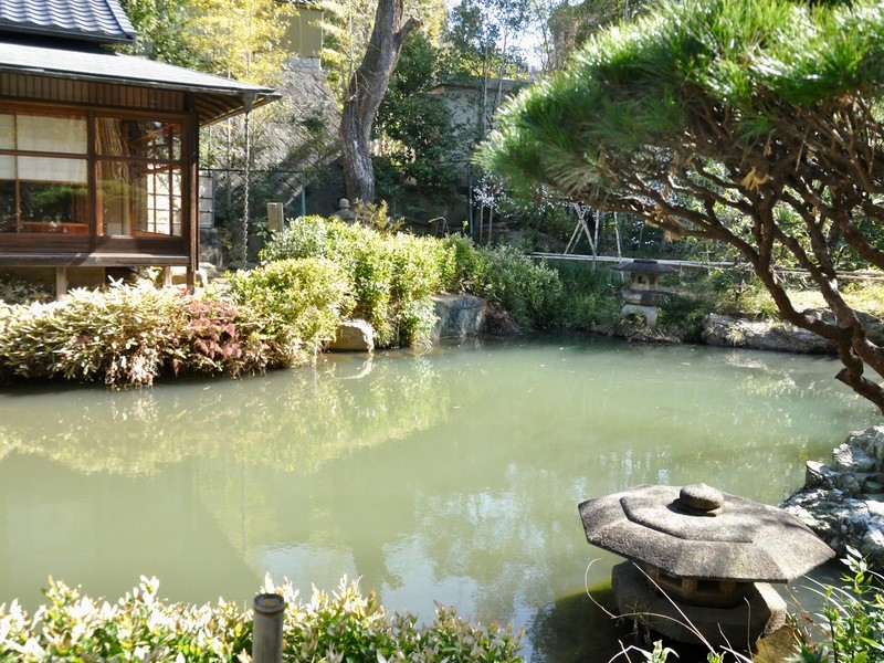 品川・大井町の「初心者さん歓迎♪スマホもOK！池上梅園で梅の花を 