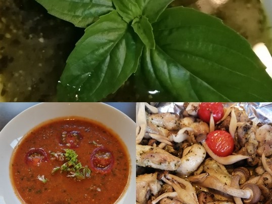 オンライン講座 オンライン60分講座 簡単 冷凍保存できるバジルペーストづくり By Harvestmooncat 米倉 香子 ストアカ