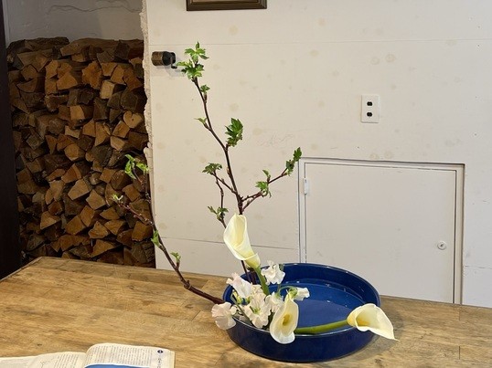 初心者生け花講座/おしゃれな広尾で華道家が教える草月流いけばな教室