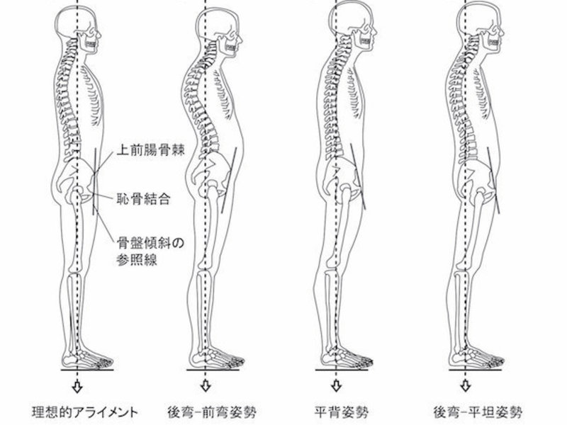 オンライン講座 男性向け 姿勢改善 体の歪みは自分で治す時代 By 中野 華麗 かれん ストアカ