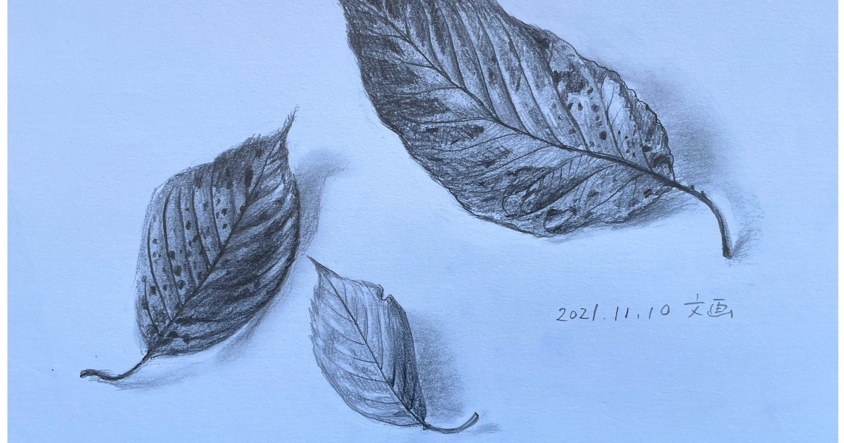 絵を描く力が伸びる鉛筆デッサン練習講座 / 文 画(もんが）