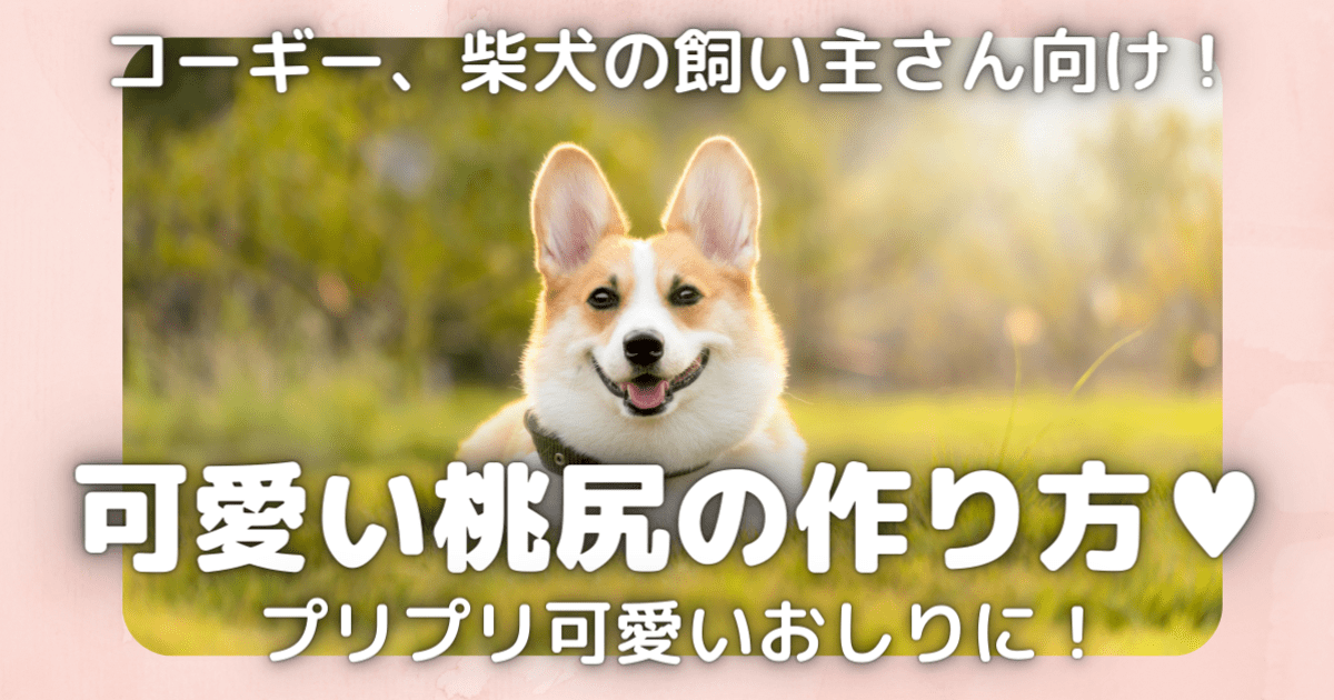 オンライン講座 コーギーの飼い主さん向け 伸びてしまったお尻をカワイイ桃尻に By 奥山 ゆきこ ストアカ