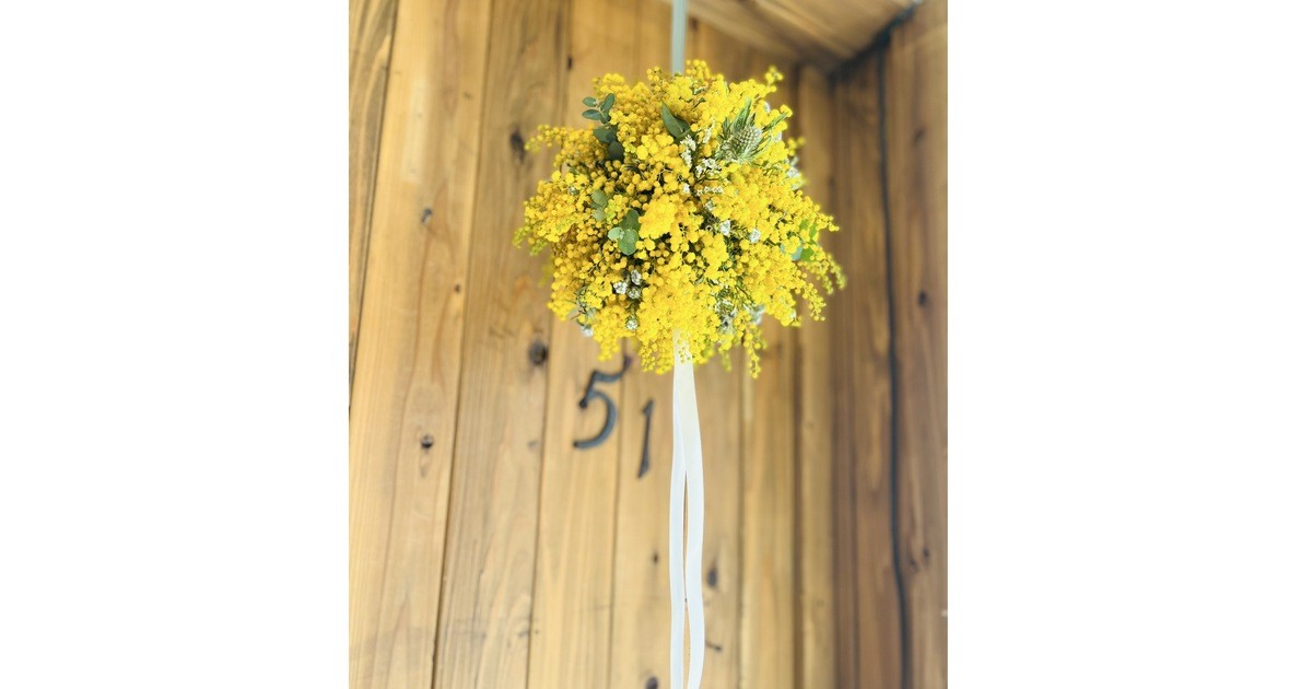 フレッシュミモザ ボールブーケアレンジメント / 上原 みすず