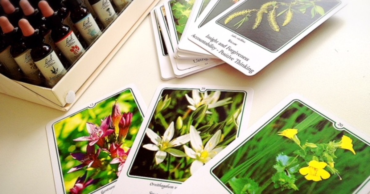 バッチフラワーレメディはじめの一歩！フラワーカード診断体験 / 中澤