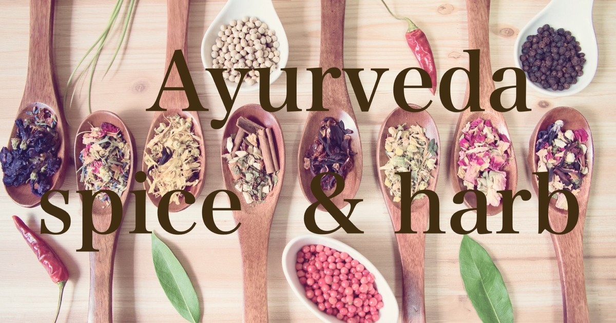 水野陽子のアーユルヴェーダで若返り 最も快適に過ごす方法 ストアカ