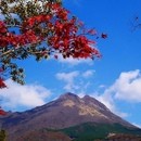 グロリア英語学院・裏千家茶道（初歩〜上級）の講座の風景