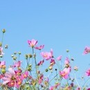 おしゃれな写真が撮れる感性を引き出す写真教室の講座の風景