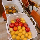 手軽に腸活をはじめよう！ミネラル醗酵ドリンク教室の講座の風景