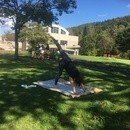 肉体と精神にフォーカスした楽しめる健康サロンの講座の風景