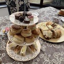 イギリスの菌マイスターがあなたの食と健康をサポートの講座の風景