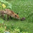イギリスの菌マイスターがあなたの食と健康をサポートの講座の風景