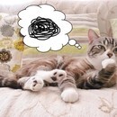 セルフケアを身に付けて心も体も健康になる方法！の講座の風景