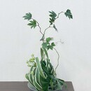 気分リフレッシュ　草月いけばな「成城花のアトリエ」の講座の風景