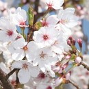 初歩の初歩の江戸教室の講座の風景