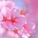 初歩の初歩の江戸教室の講座の風景