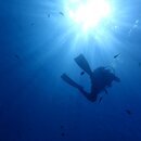 海の楽しさはスノーケリングを知ることから！の講座の風景