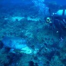 海の楽しさはスノーケリングを知ることから！の講座の風景