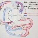 脳の特性を利用したコーチングの講座の風景
