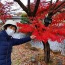 良知学舎の開催する講座の風景