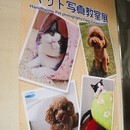 八二一の開催する講座の風景