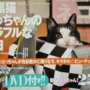 八二一の開催する講座の風景