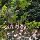 【tabiサロン】how to travelの講座の風景