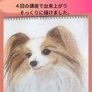 準備も片付けも簡単な色鉛筆でリアルに描いてみようの講座の風景