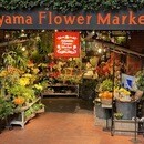 起業の不安を安心に変え安定経営まで導く専門家の講座の風景