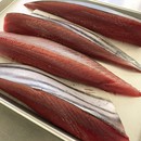 四分一耕のお魚教室の講座の風景