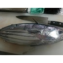 四分一耕のお魚教室の講座の風景