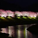 NLP心理学を使って生きやすい生活を提供！の講座の風景