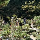 楽しく写真が撮れるようなお手伝いをいたします。の講座の風景