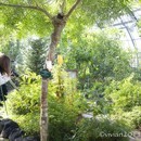 一眼レフカメラを使いこなして楽しい写真ライフを！の講座の風景