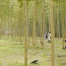 一眼レフカメラを使いこなして楽しい写真ライフを！の講座の風景
