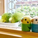 鳥専門｜羊毛フェルトで“本物らしい鳥”が作れる教室の講座の風景