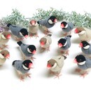 鳥専門｜羊毛フェルトで“本物らしい鳥”が作れる教室の講座の風景