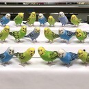 鳥専門｜羊毛フェルトで“本物らしい鳥”が作れる教室の講座の風景