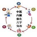 内臓強化しながら5kgも10kgも痩せる気功法の講座の風景