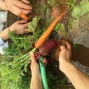 ハワイを感じて時短おもてなし料理をもっと楽しもうの講座の風景