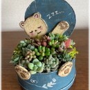 貴方も多肉講師資格を取って副業で稼ぎましょうの講座の風景