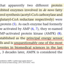 エビデンスに基づく栄養指導とファスティング！の講座の風景