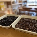 コーヒーで夢を叶えるお手伝いをしますの講座の風景