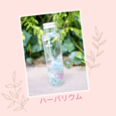 あなただけのハーバリウムと植物雑貨を楽しく作る教室の講座の風景