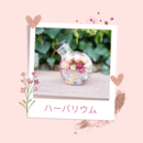 あなただけのハーバリウムと植物雑貨を楽しく作る教室の講座の風景