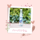 あなただけのハーバリウムと植物雑貨を楽しく作る教室の講座の風景