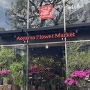 起業の不安を安心に変え安定経営まで導く専門家の講座の風景