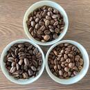 コーヒーの『分からない』を楽しく解決！の講座の風景
