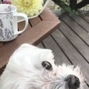 英語、コーチング、アートで理想の人生づくりサポートの講座の風景