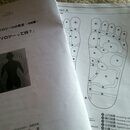 アロマリフレクソロジー・足ツボ・アロマテラピーの講座の風景